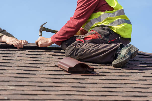 Professional Roofing Contractor in Wrens, GA