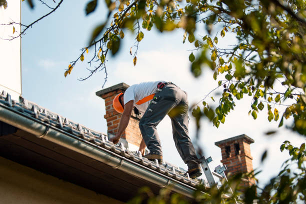 Quick and Trustworthy Emergency Roof Repair Services in Wrens, GA