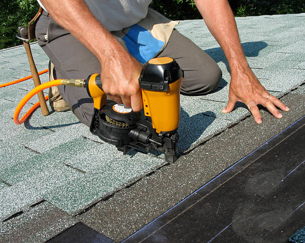 Best Roof Gutter Cleaning  in Wrens, GA