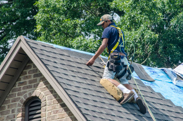 Best Shingle Roofing Installation  in Wrens, GA